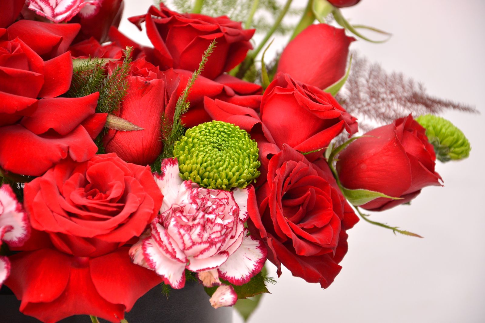 Noir Passion - Image 2