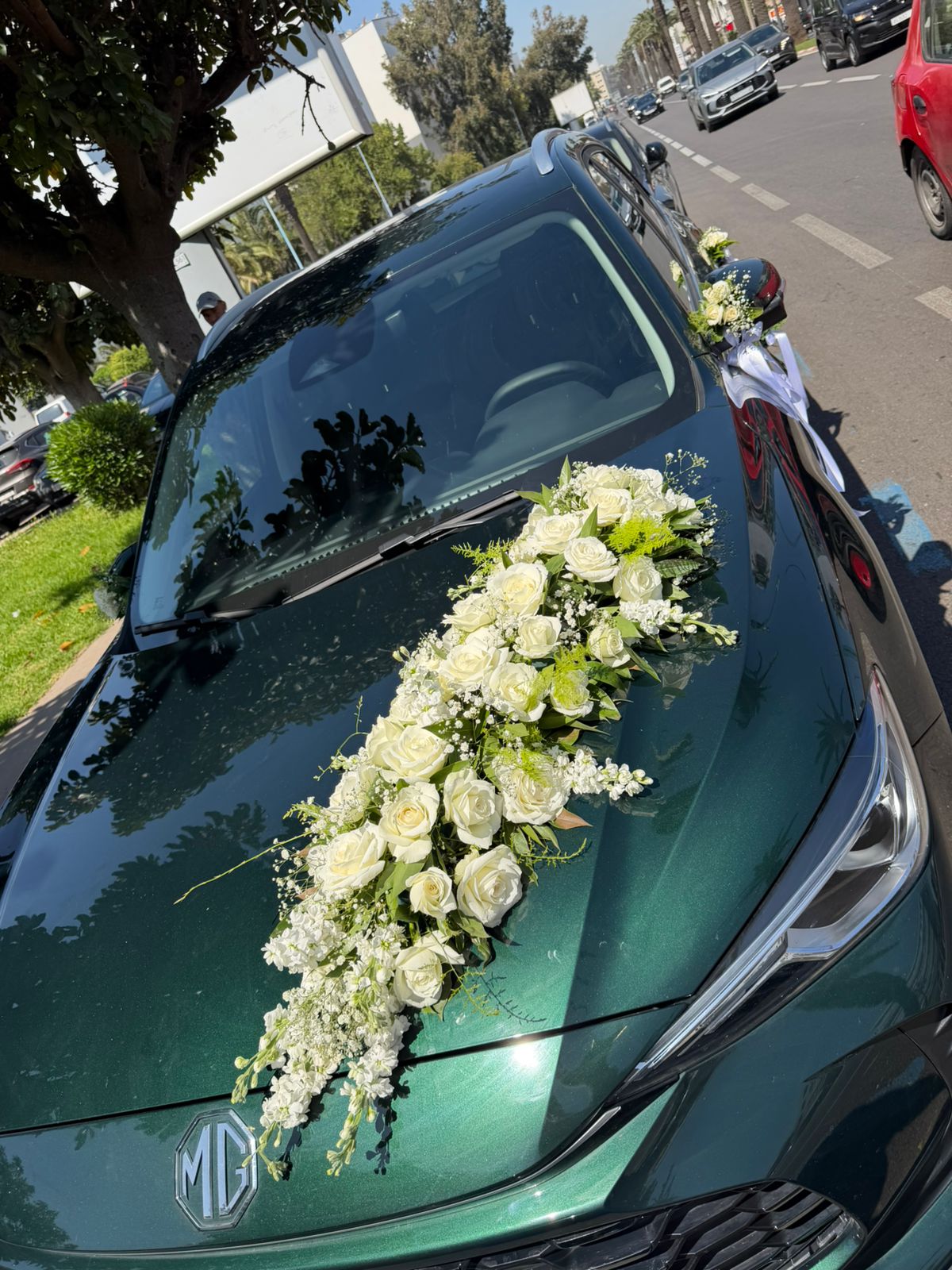 Guirlande Blanche pour Voiture